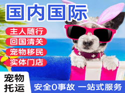 胶东机场邮寄国际宠物托运 【国